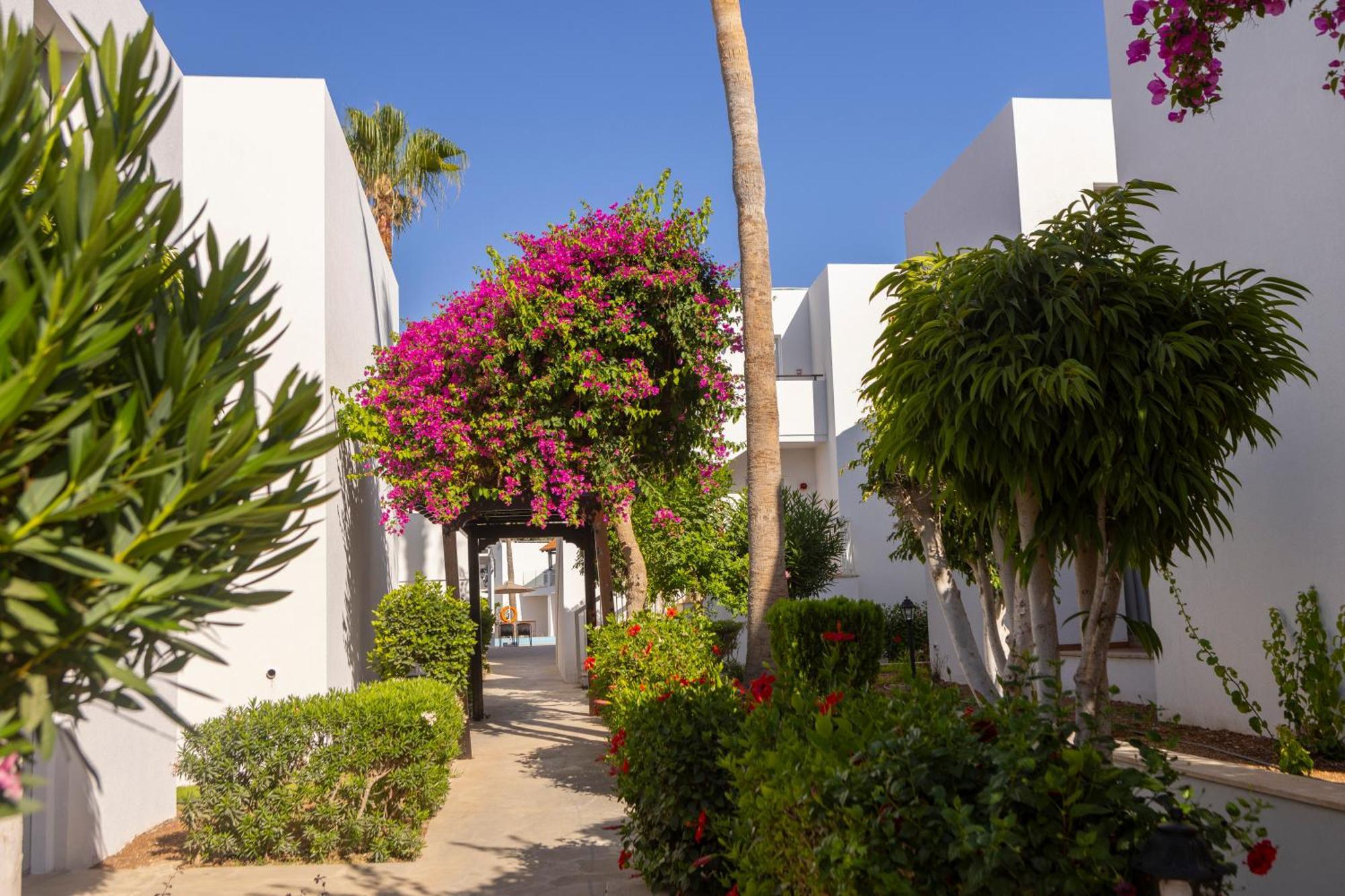 Kapetanios Aqua Resort Coral Bay Ngoại thất bức ảnh